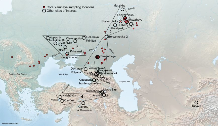 Image 4 - Summary figure